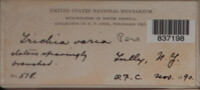 Image Associated With the Occurence